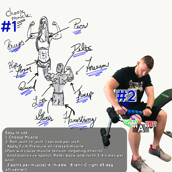 muscle stick applications